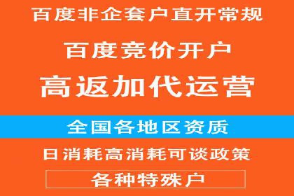 大型SEM服务公司案例分析